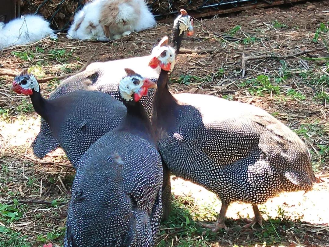 微信图片_20190529160553.jpg 微信图片_20190529160553.jpg