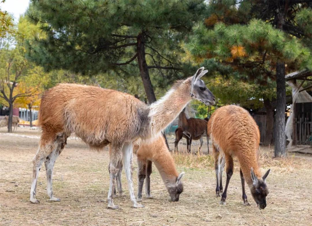 微信图片_20190529160547.jpg 微信图片_20190529160547.jpg