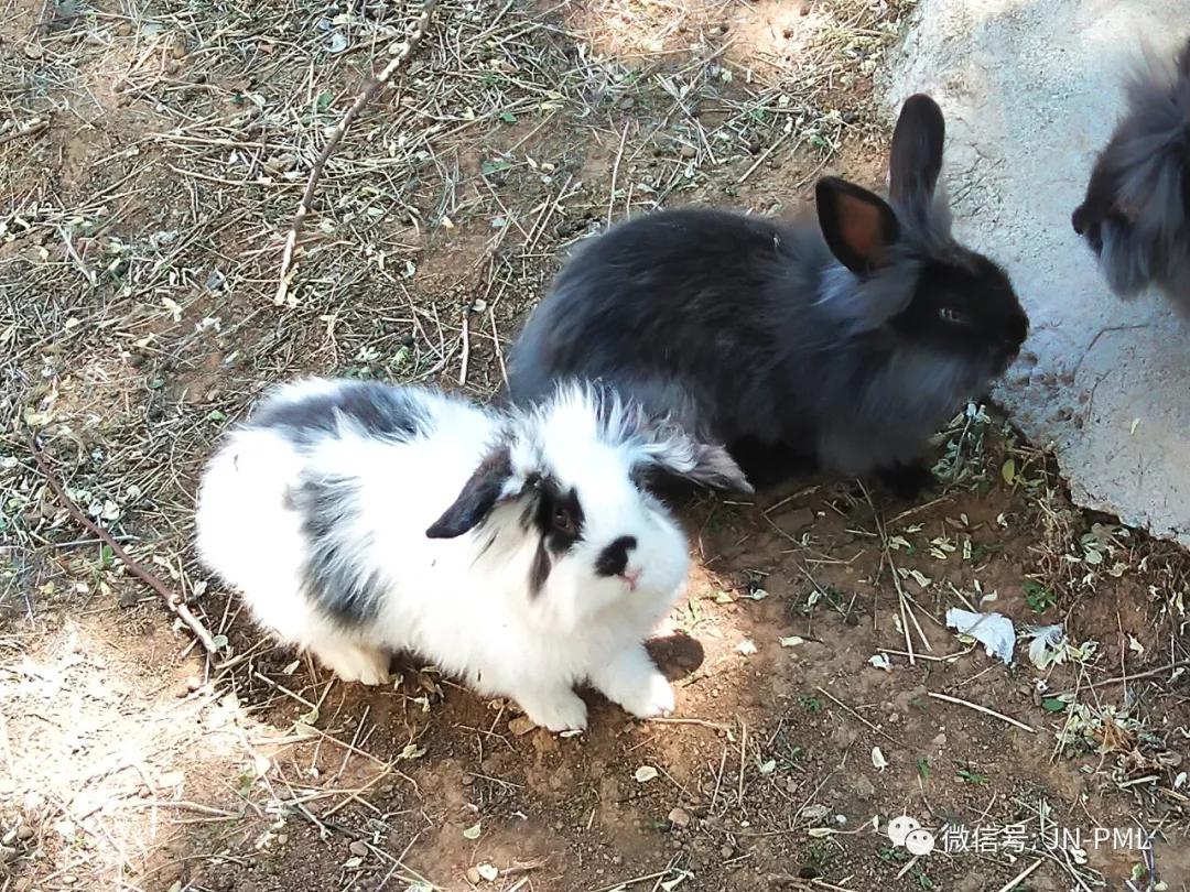 微信图片_20190529160559.jpg 微信图片_20190529160559.jpg